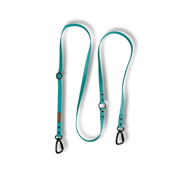 Teal Hands Free Leash