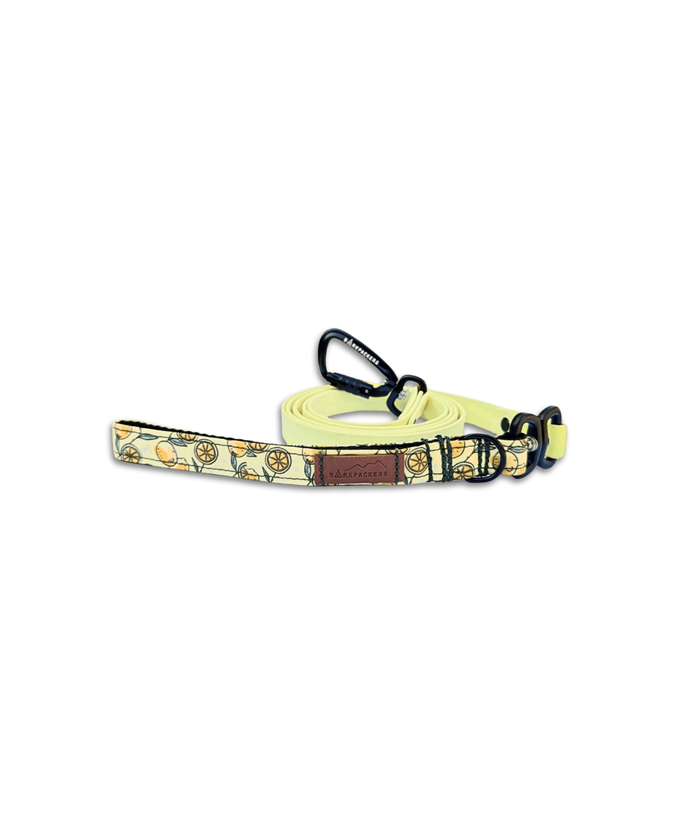 Lemonade Days Leash