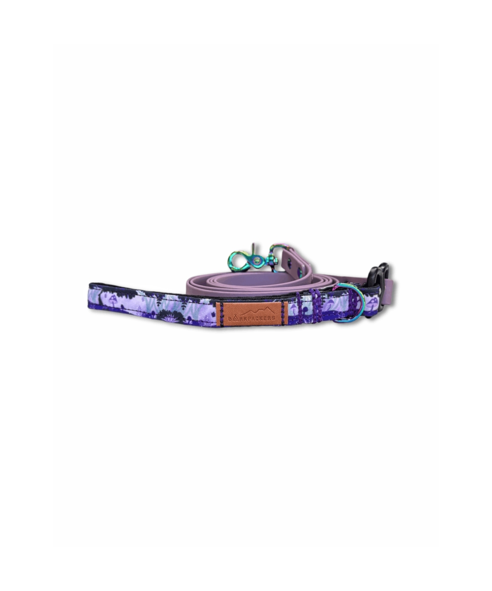 Fairy Forest Leash