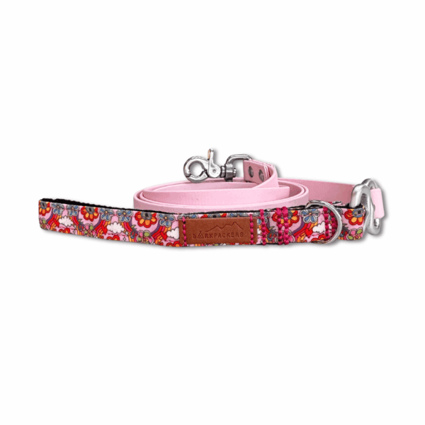 Groovy Bloom Leash