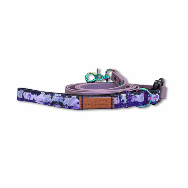 Fairy Forest Leash