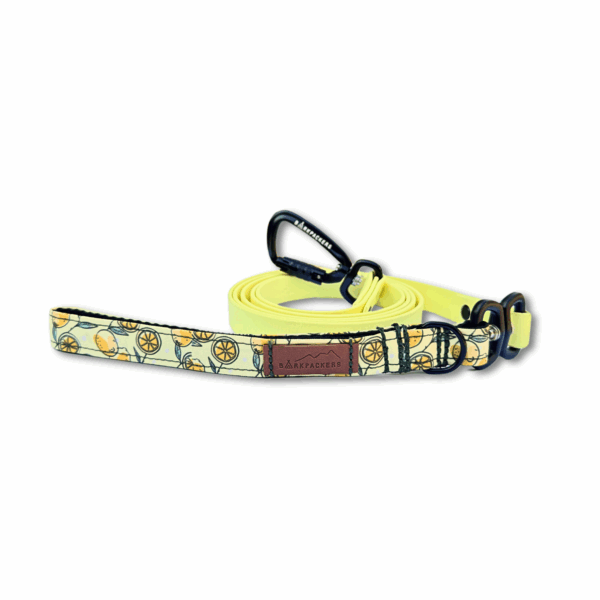 Lemonade Days Leash