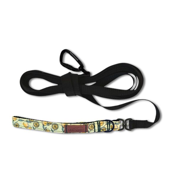 Lemonade Days Long Line Leash