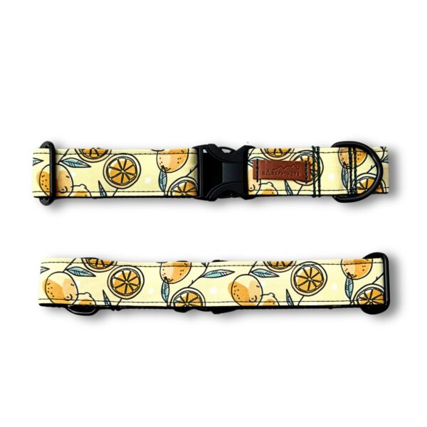 Lemonade Days Collar