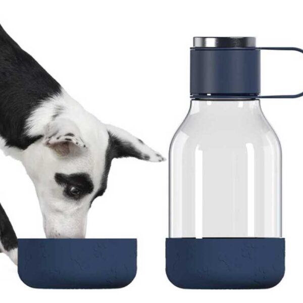Dog Accessories