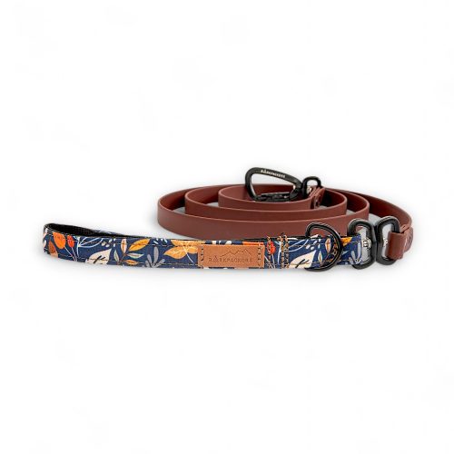 OAK FOREST PROIONTIKH LEASH