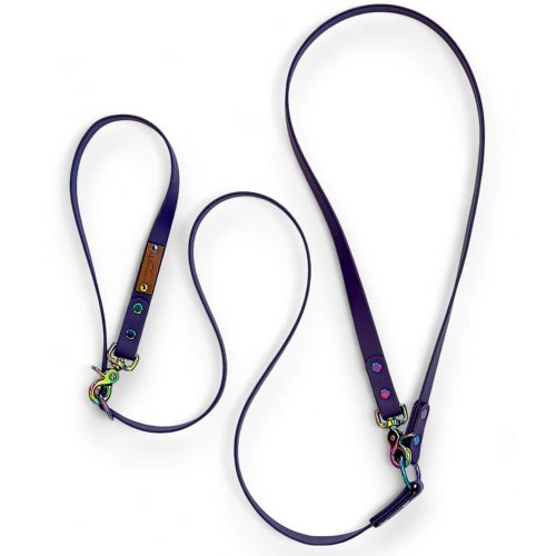 VIOLET-PROIONTIKH-HANDS-FREE-LEASH